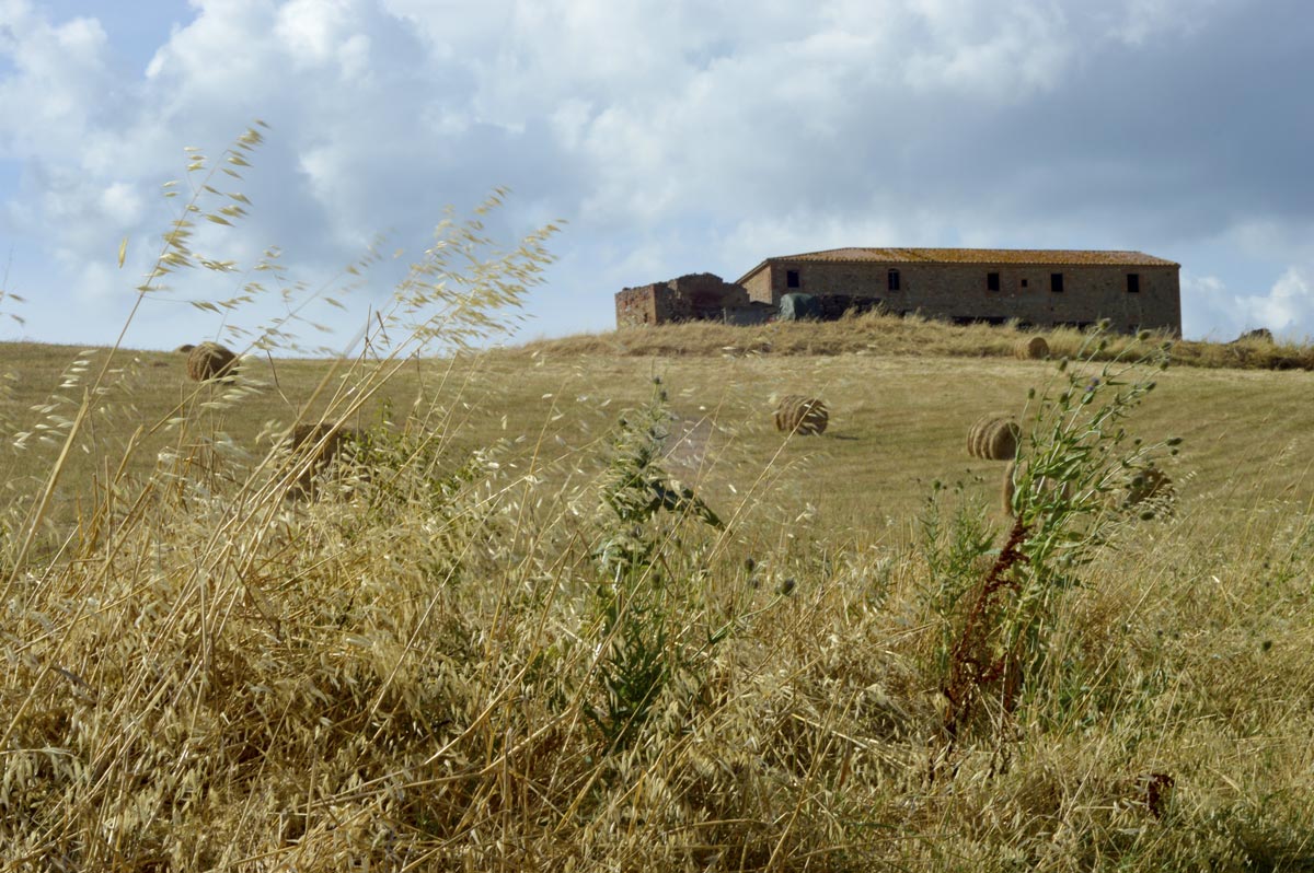 Tuscan fields