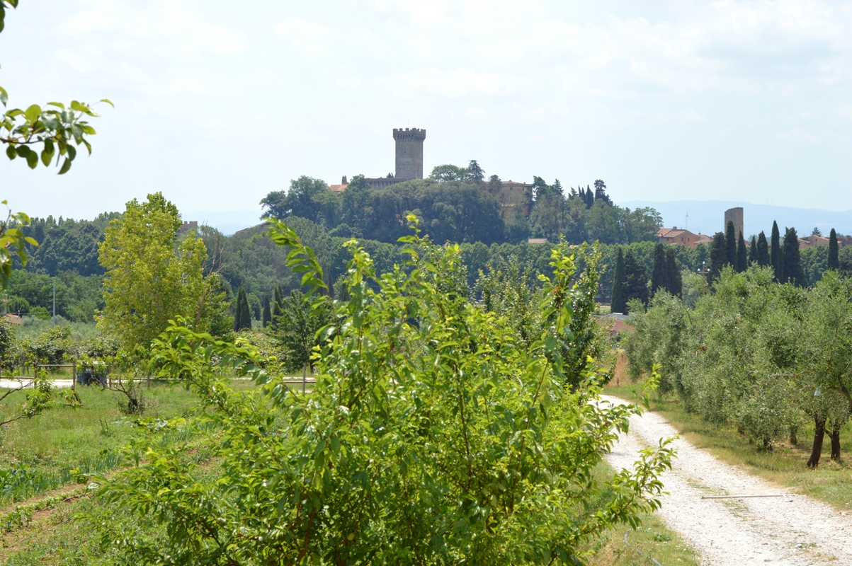 Oil mill near Vicopisano