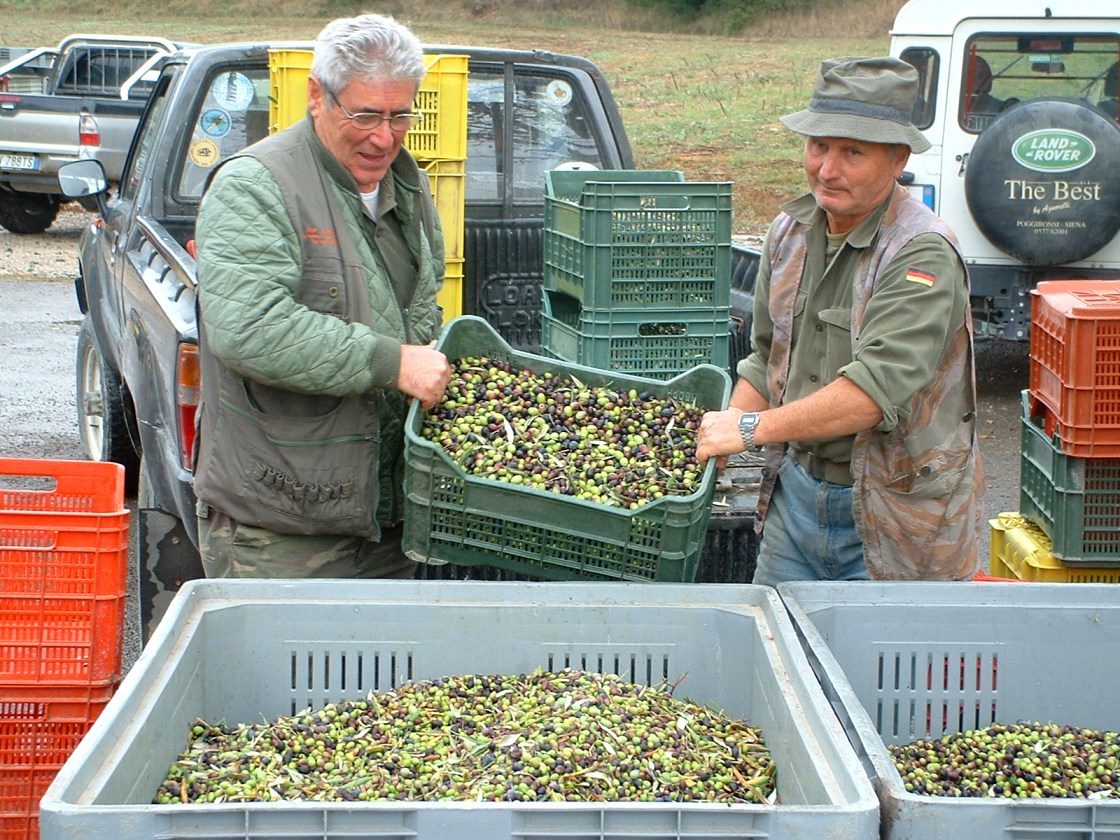 Here are my olives