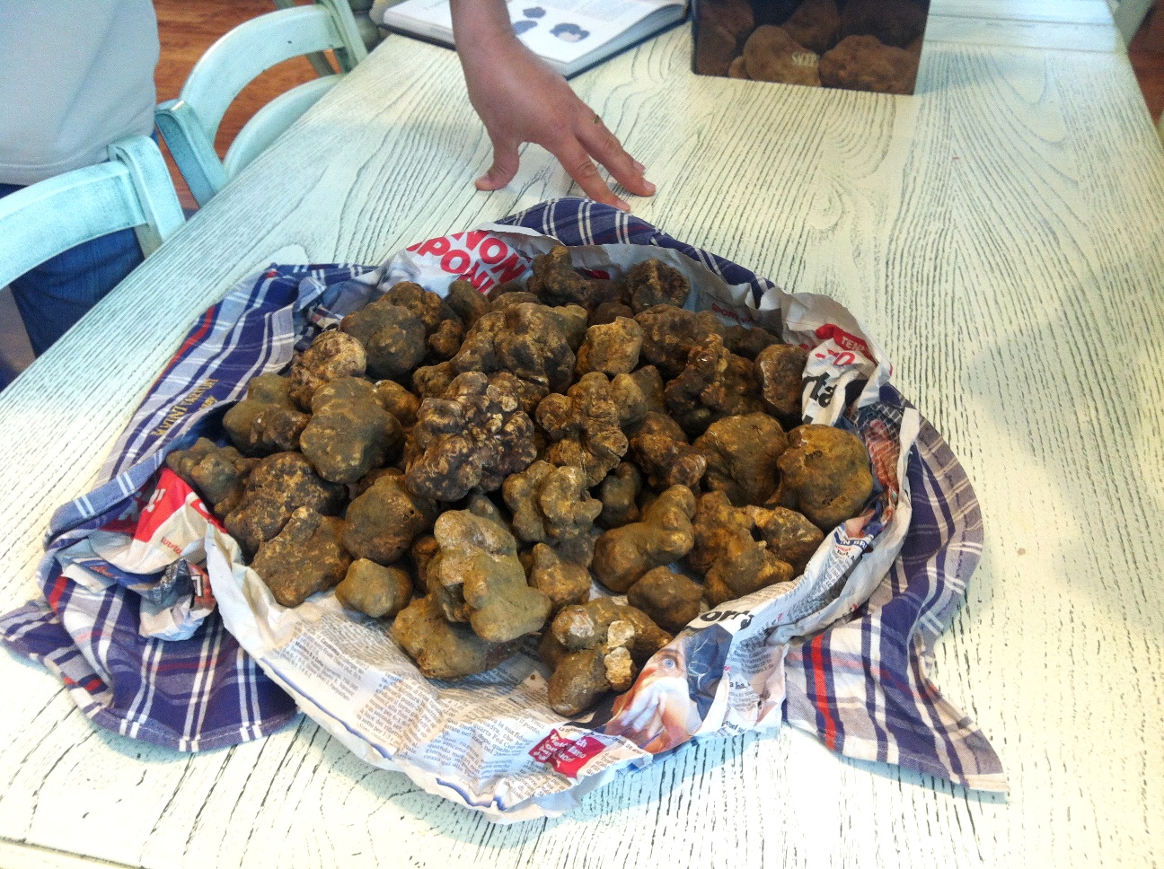 A bag full of white truffles