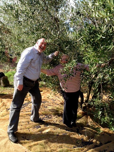 Olive picking smiles