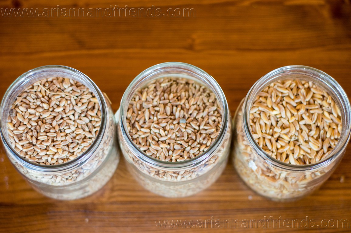 Tuscan ancient grains