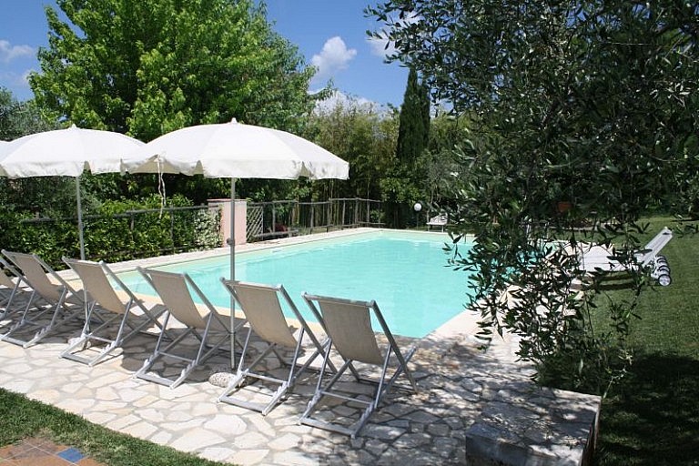 A pool in an olive grove