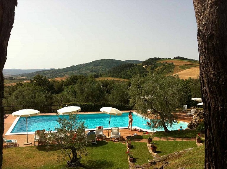 Swimming pool in olive orchard