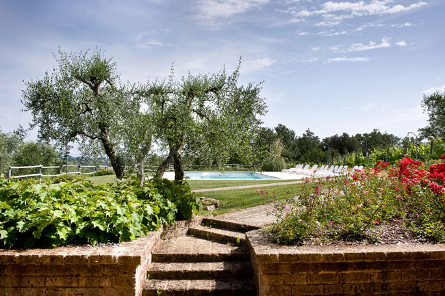 Pool in the olive grove