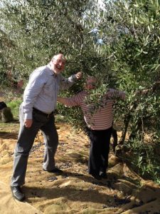 Smiles at the olive grove