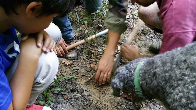 The moment we find a truffle