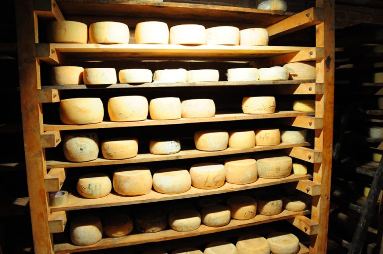 Delicious cheese forms in Casanova