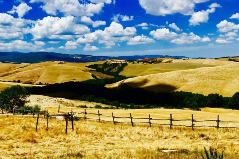 A countryside like in a painting