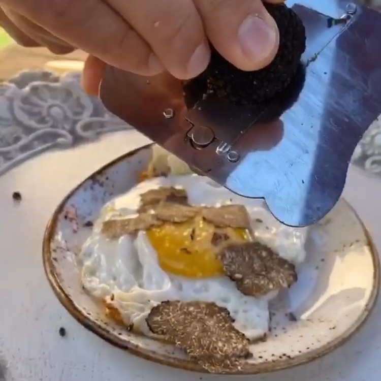 Fresh truffle