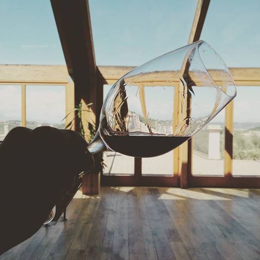 Terre di Pisa wine