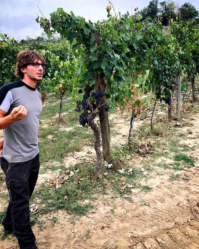 Winery tours in central Tuscany