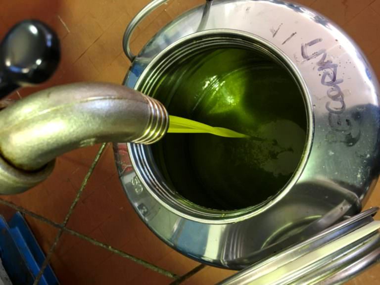 Extra virgin olive oil just extracted