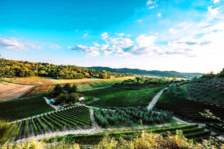 Cooking & wine tasting in San Miniato