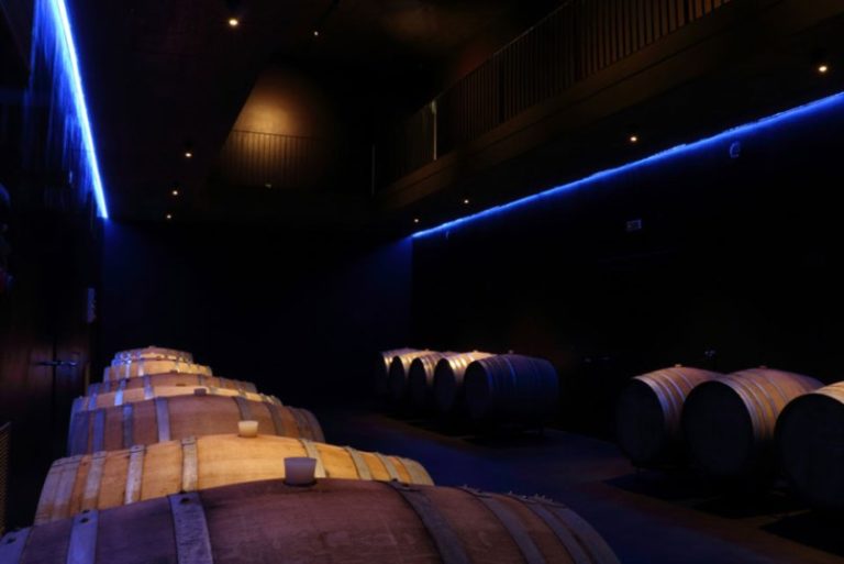 Red wines in the oak