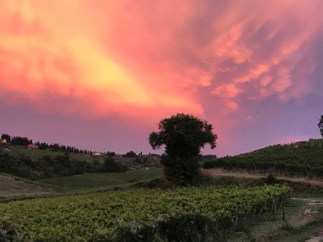 Wine tasting with Arianna & Friends