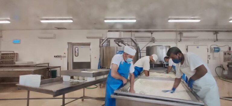 Ricotta cheese