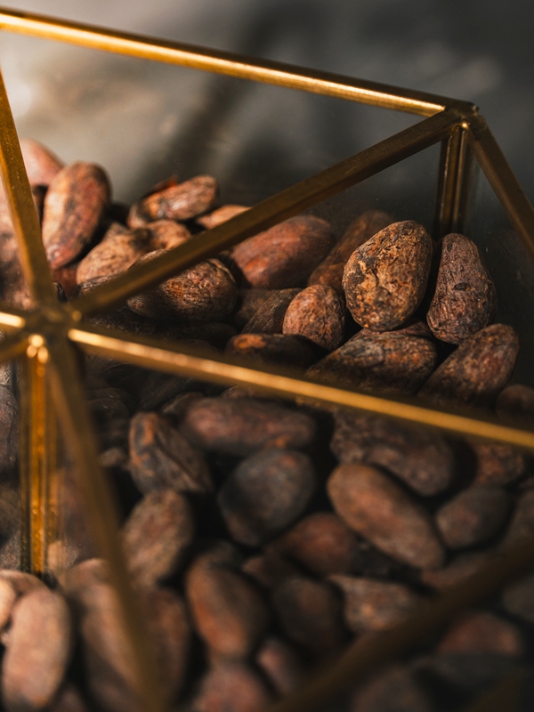 chocolate beans used for making chocolate bars