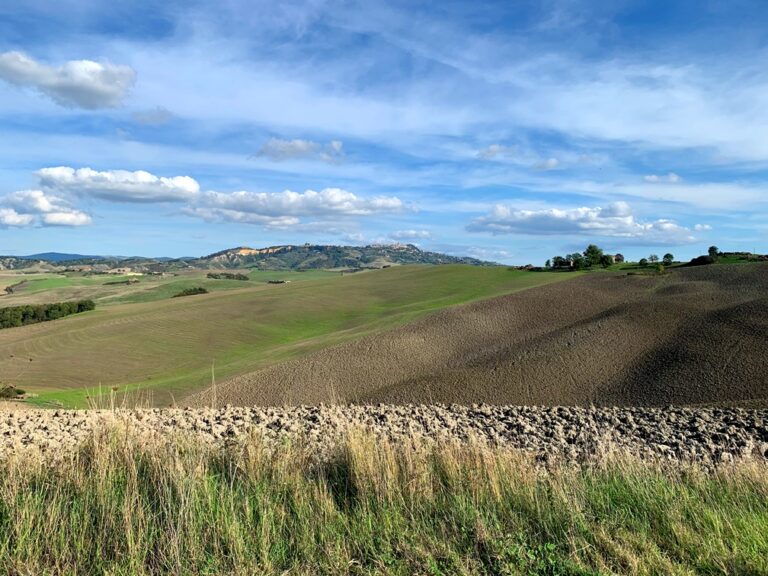 A view of Volterra from the Itinerario dei Calanchi