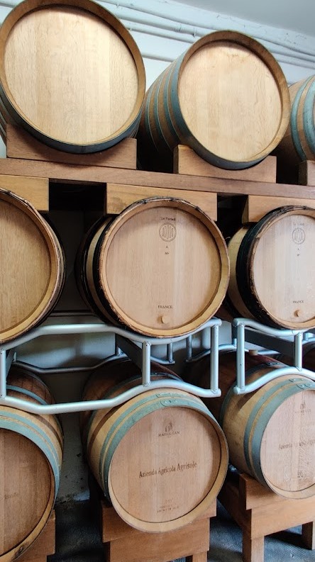 Wine tour with Arianna & Friends