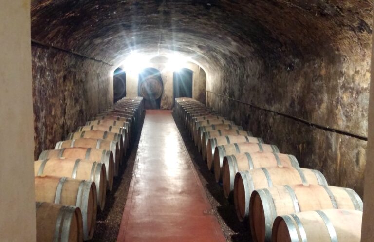 Wine tasting in the historical winery