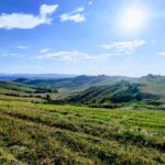 Road to Ghizzano