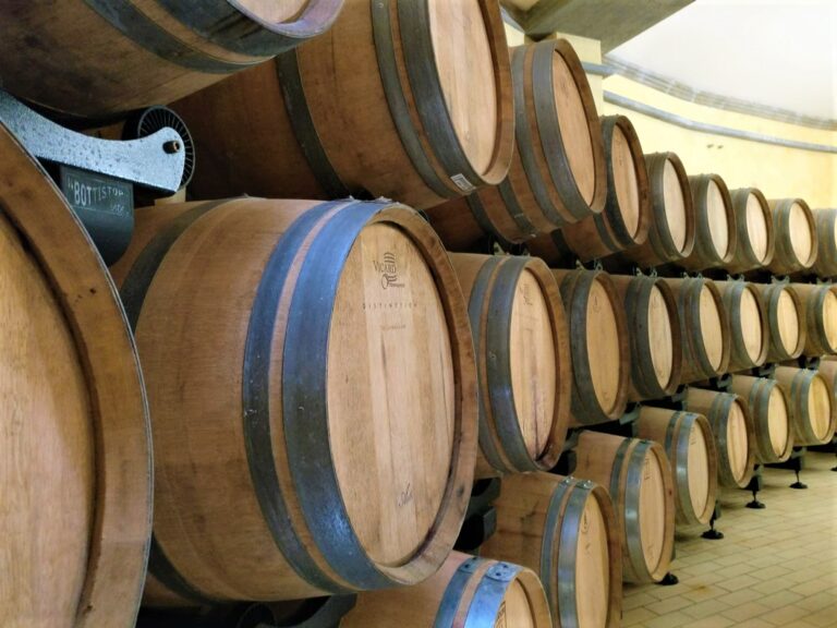 Ageing room for red wines