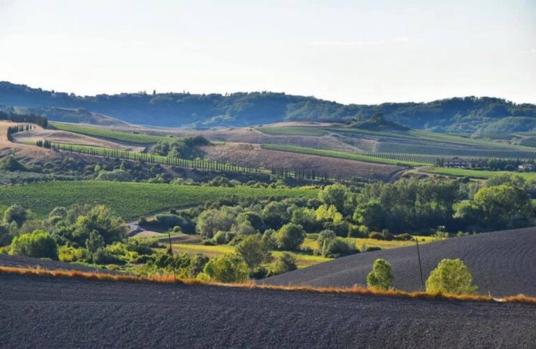 Morrona in the Terre di Pisa district