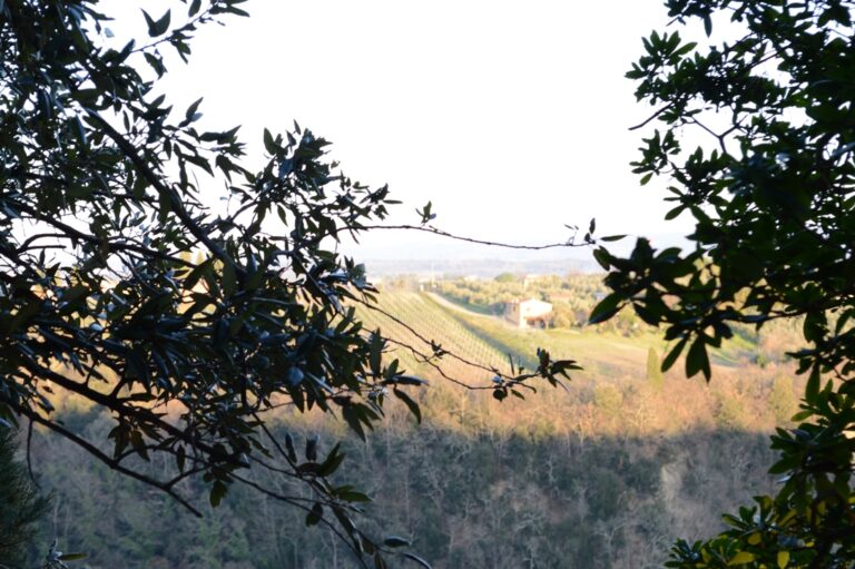 Tuscan panorama