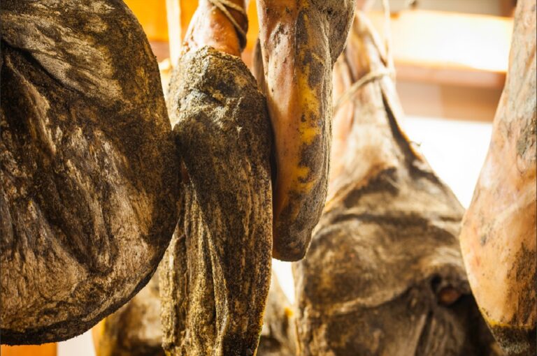 Guided tour to the butcher in San Miniato