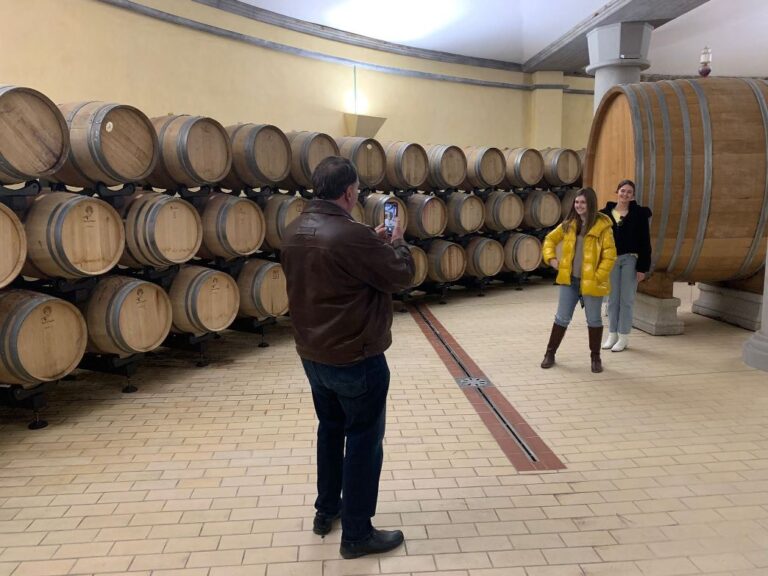 Winery tour in Terricciola