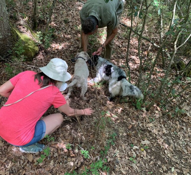 Truffle hunting experience with Riccardo in San Miniato