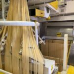 Visit to the Martelli company