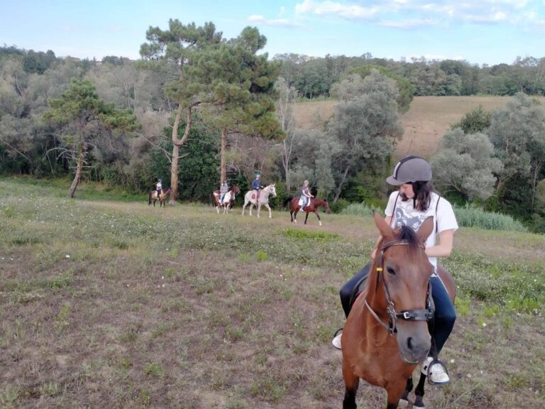 Ideal activities for beginners