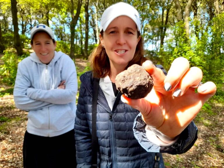 Black truffle just found
