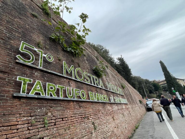Guided visit to the truffle festival of San Miniato with Arianna & Friends
