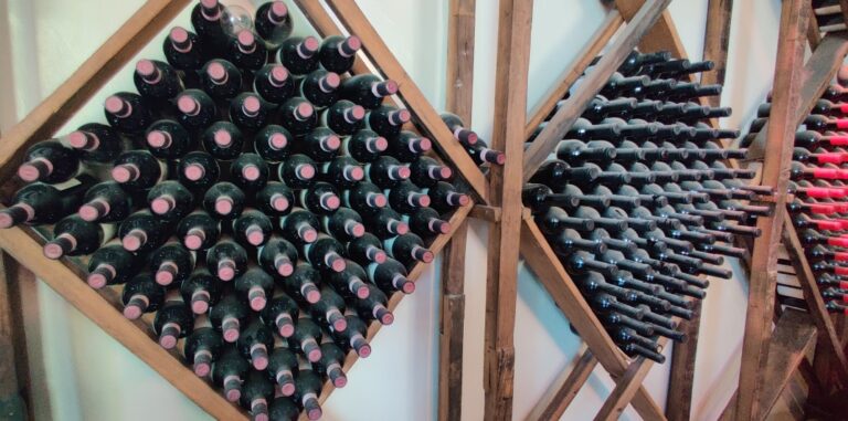 Guided wine tasting in Vinci