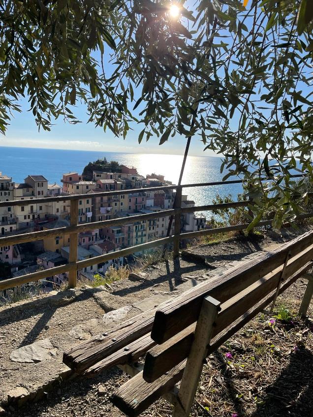 Cinque terre tour from Livorno