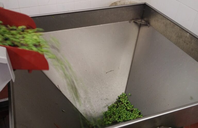 Olive pressing