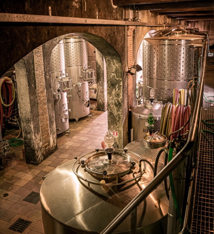 Wine ageing in stainless steel vats