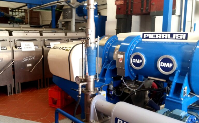 Guided visit to the olive mill of Vicopisano