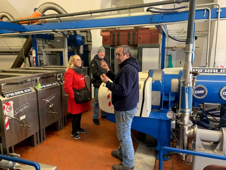 Tour to Vicopisano with olive oil tour