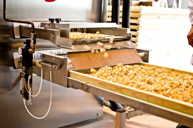 Ancient grain made at an excellent factory in Terre di Pisa