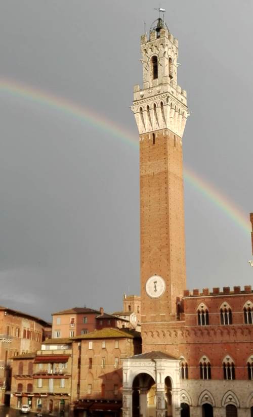 The guided tour of Siena