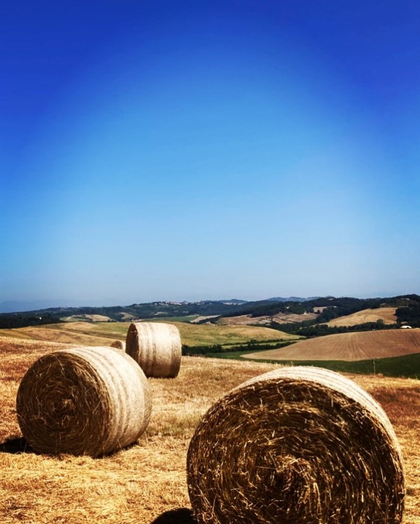 Tuscan landscape