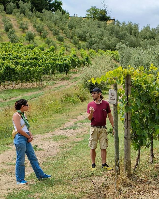 Special event with focus on wine tasting