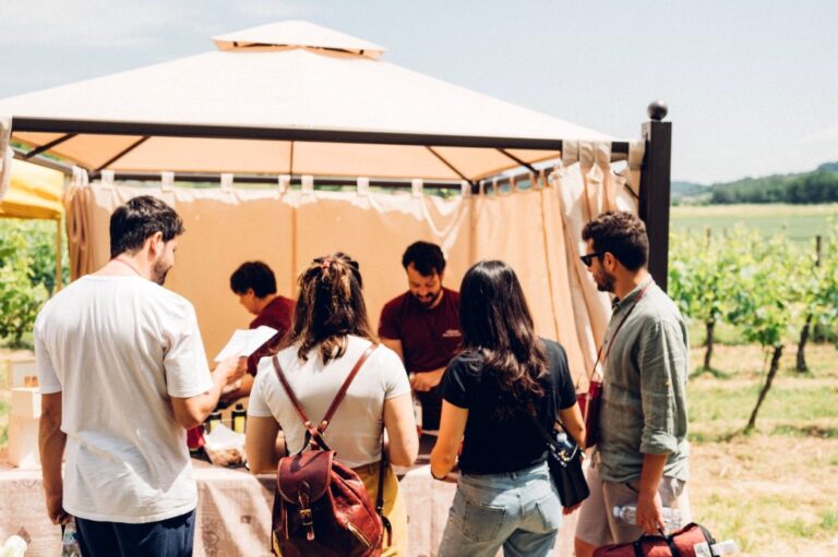 Guided wine tour for foodies in the San Miniato wine district