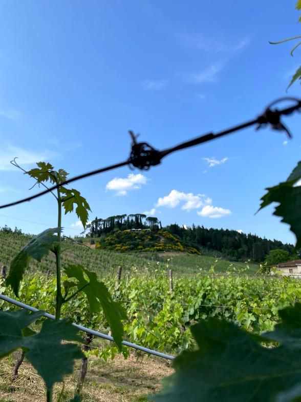 Arianna & friends offers special wine event in the Terre di Pisa valley