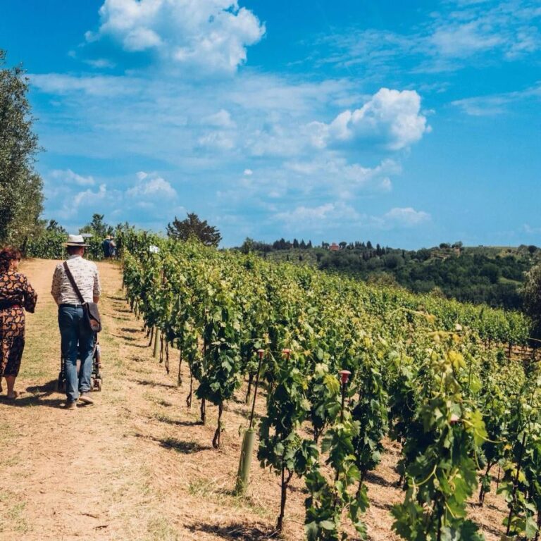 Wine event Terre di Pisa