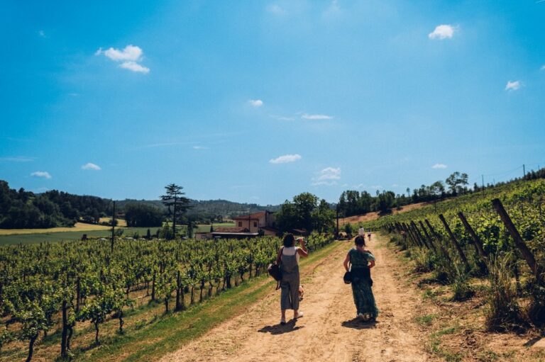 Visit to the winery and wine tasting